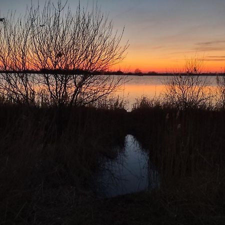 Ferienwohnung Ostfriesenglueck Leer Buitenkant foto