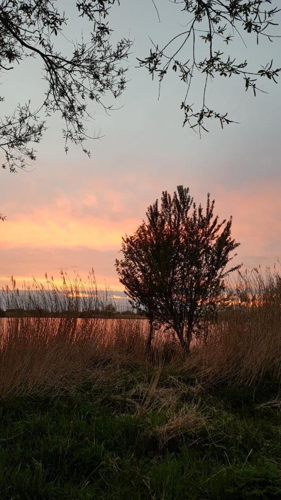 Ferienwohnung Ostfriesenglueck Leer Buitenkant foto